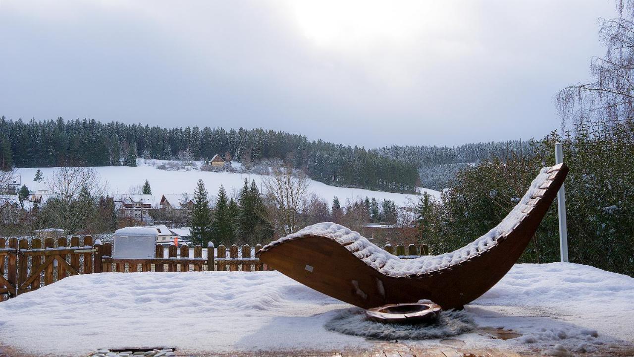 Entire House In Schwarzwald With Mountain View, Private Sauna, Gym, Garden And Terraces Unterkirnach Luaran gambar