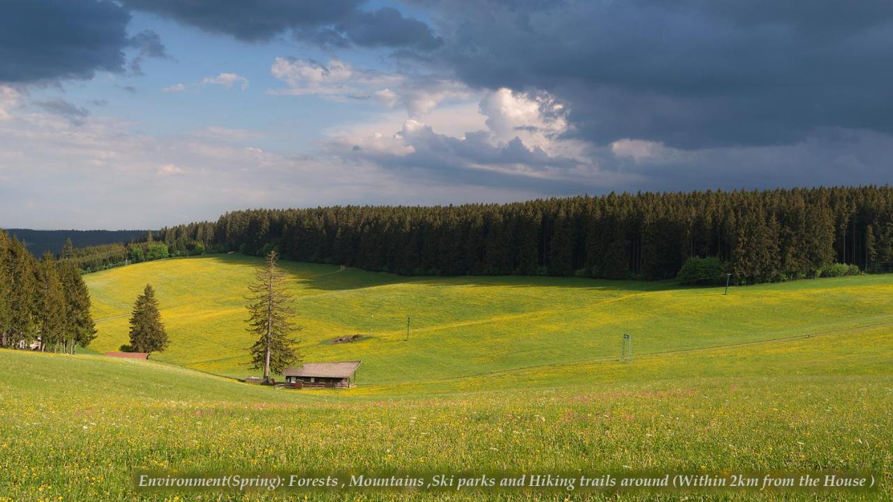 Entire House In Schwarzwald With Mountain View, Private Sauna, Gym, Garden And Terraces Unterkirnach Luaran gambar
