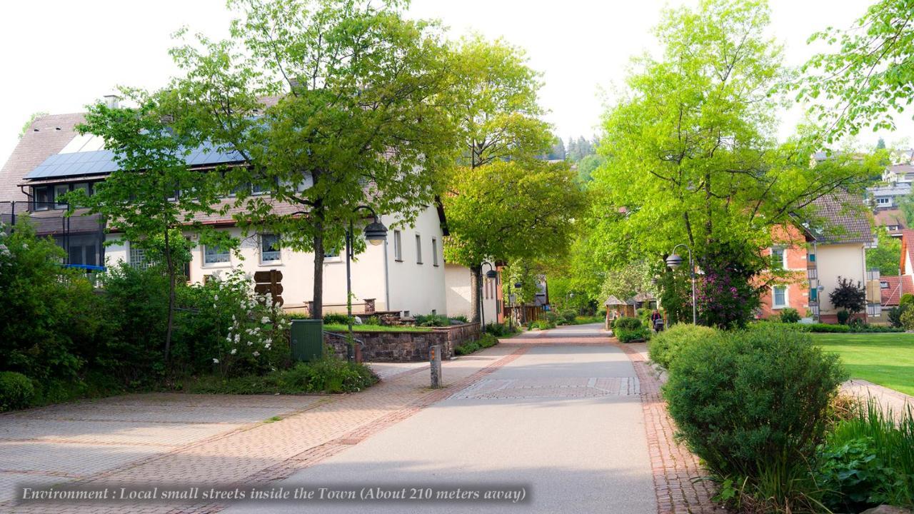 Entire House In Schwarzwald With Mountain View, Private Sauna, Gym, Garden And Terraces Unterkirnach Luaran gambar