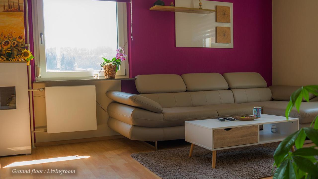 Entire House In Schwarzwald With Mountain View, Private Sauna, Gym, Garden And Terraces Unterkirnach Luaran gambar