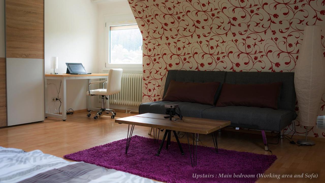 Entire House In Schwarzwald With Mountain View, Private Sauna, Gym, Garden And Terraces Unterkirnach Luaran gambar