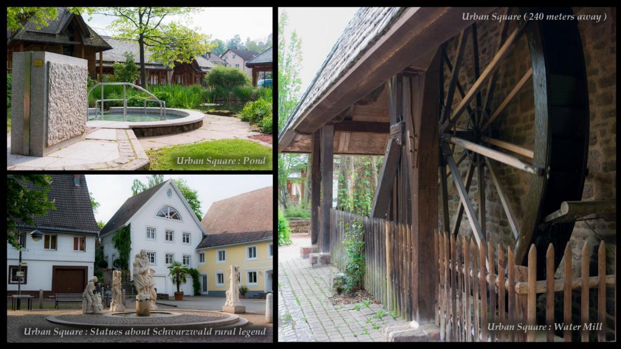 Entire House In Schwarzwald With Mountain View, Private Sauna, Gym, Garden And Terraces Unterkirnach Luaran gambar